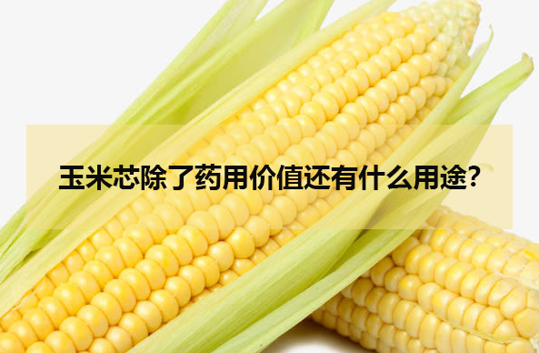 玉米芯除了药用价值还有什么用途?