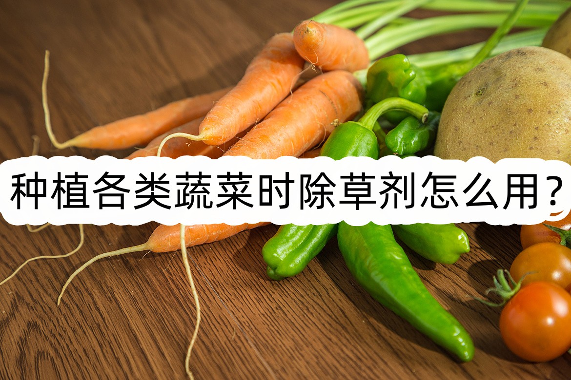 种植各类蔬菜时除草剂怎么用?